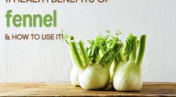 11 Health Benefits of Fennel + How to Use It