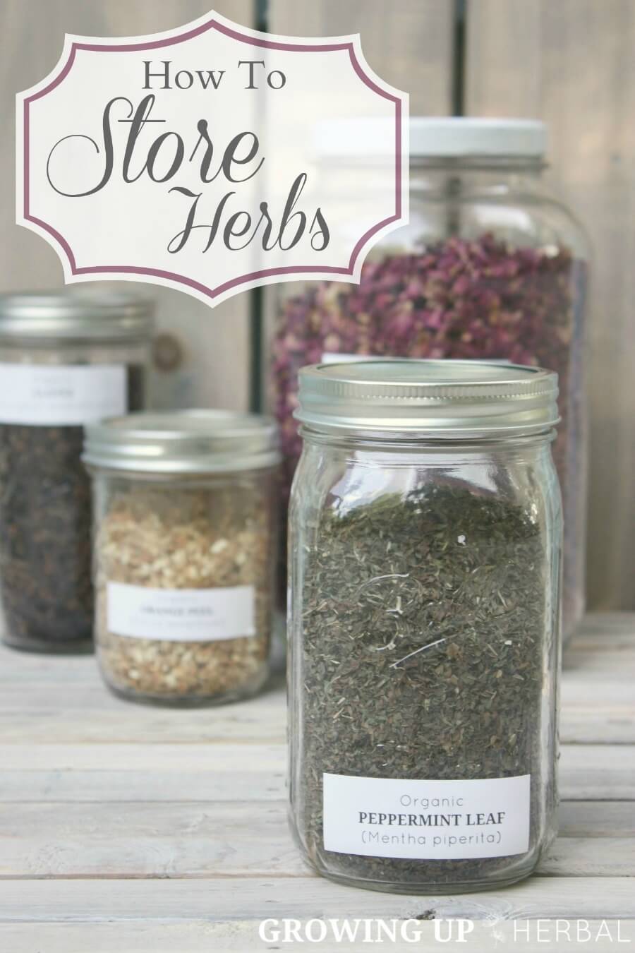 how-to-store-herbs-wellness-media