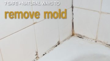 how to remove surface mold naturally