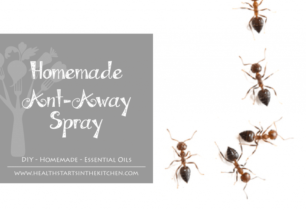 Ant Spray 