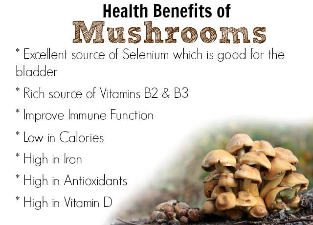 health-benefits-of-mushrooms