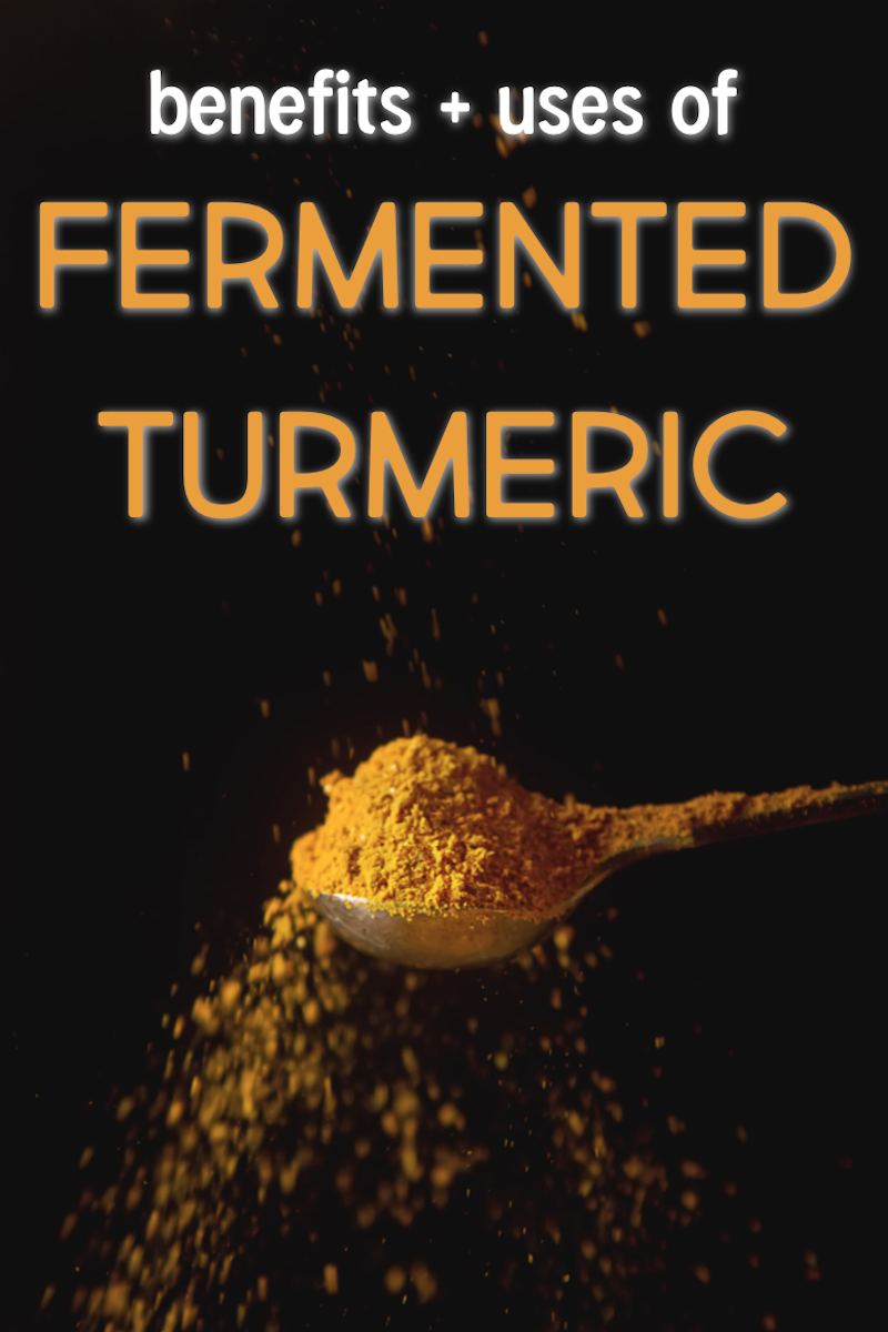 benefits uses fermented turmeric how to make