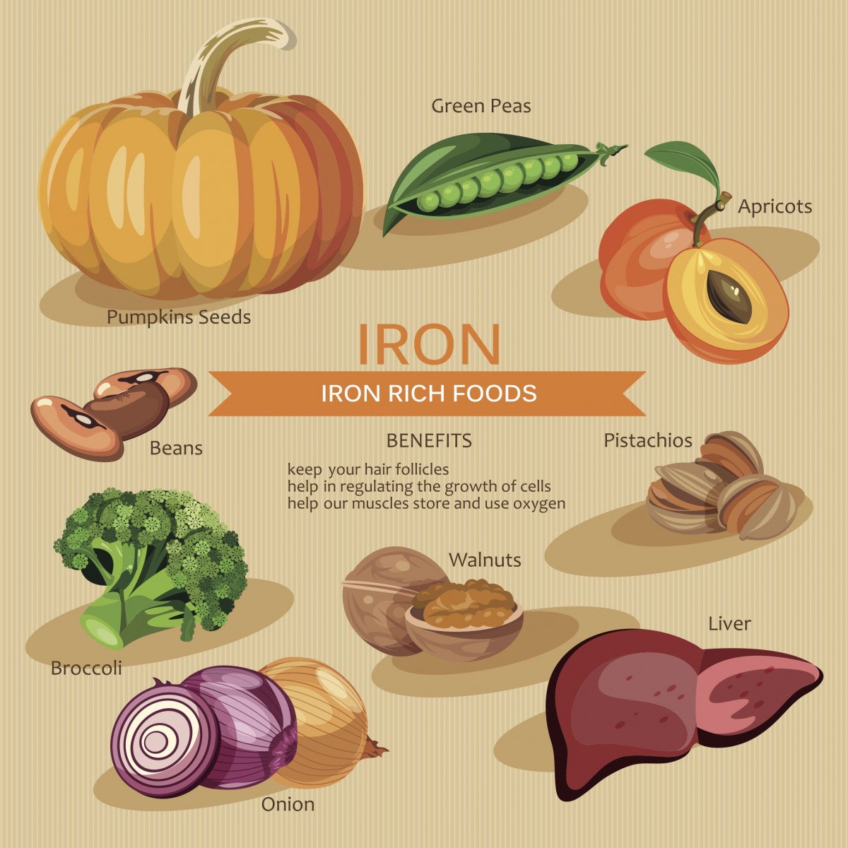 Iron Levels In Food 