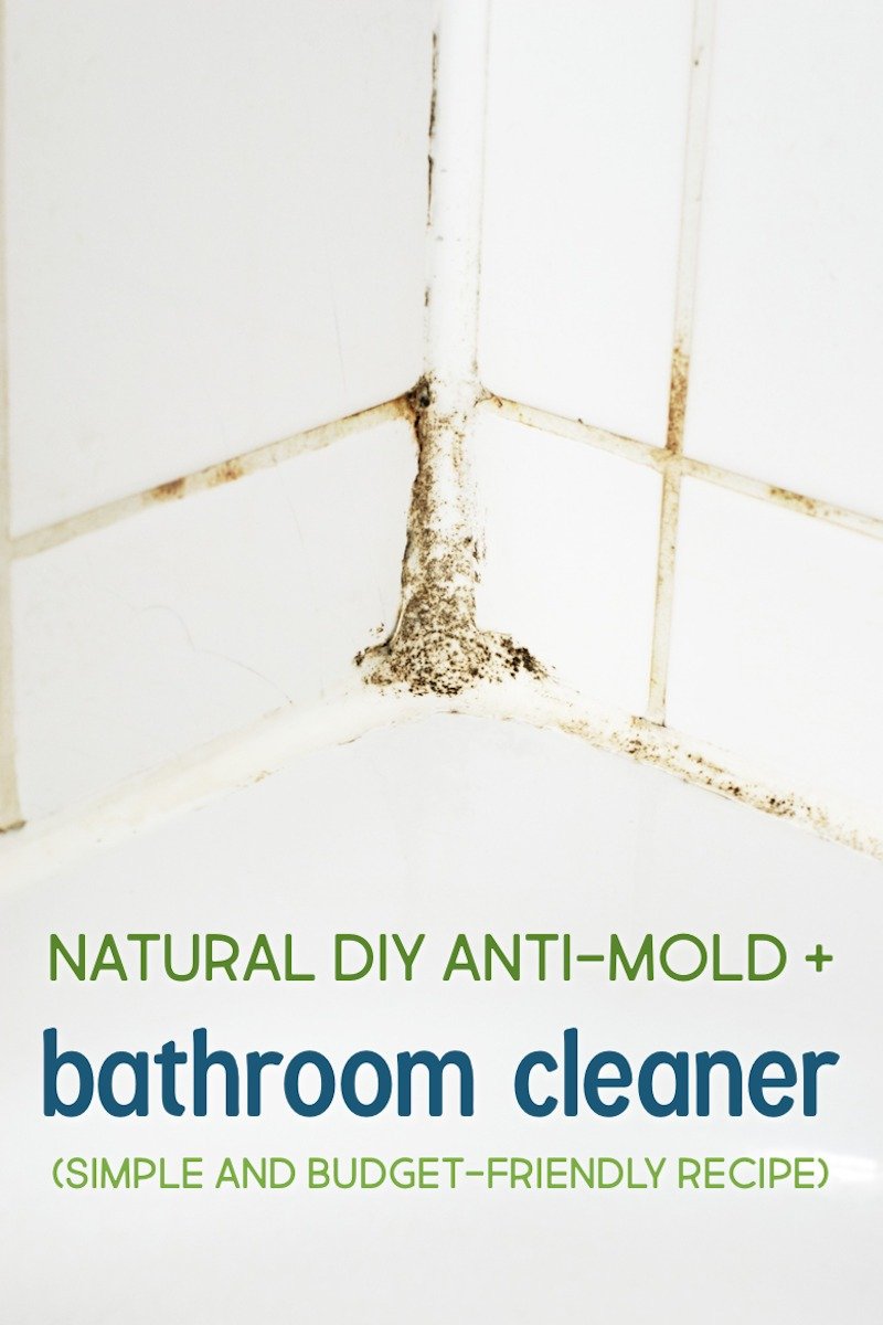 Homemade Anti Mold Spray & Bathroom Cleaner