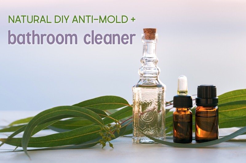Natural DIY Anti-Mold Spray and Bathroom Cleaner Recipe