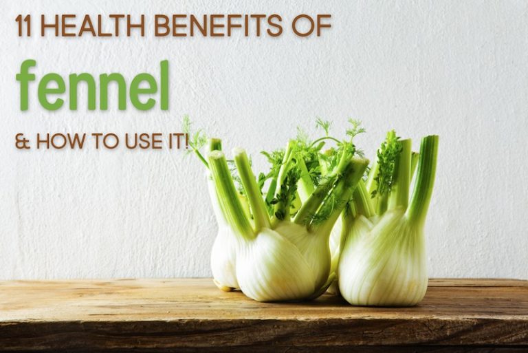 11 Health Benefits of Fennel + How to Use It (with Recipes)