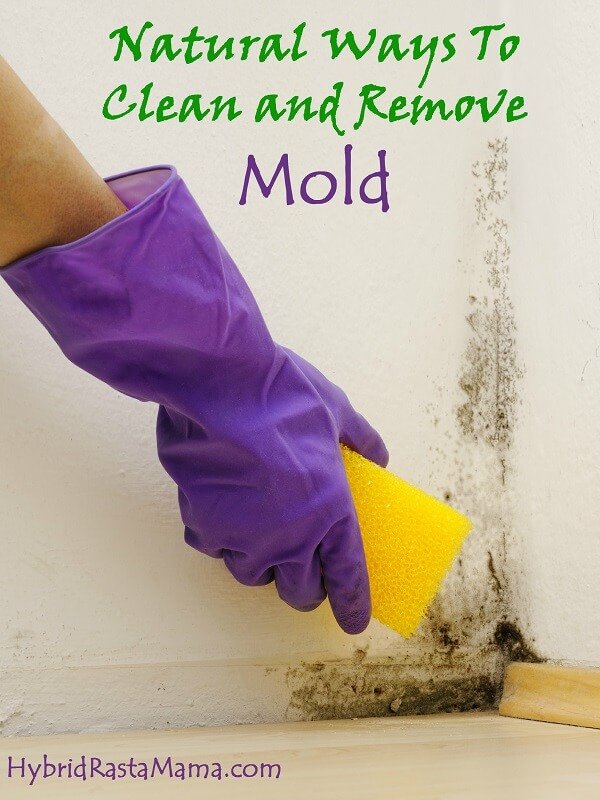 Natural Ways to Remove Mold - Wellness Media