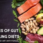 different types of gut healing diets