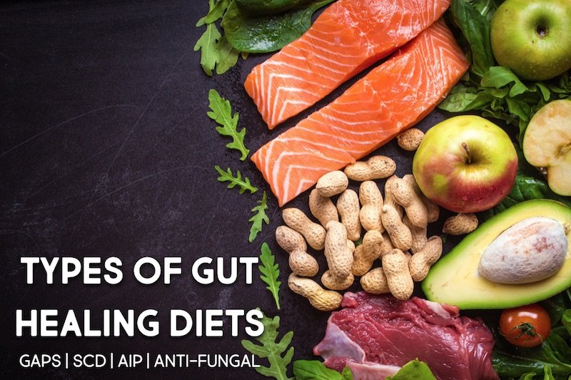 different types of gut healing diets